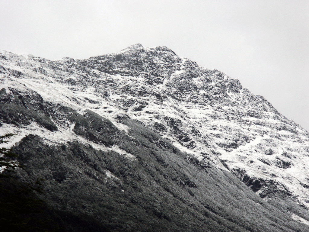ARneige ARneige