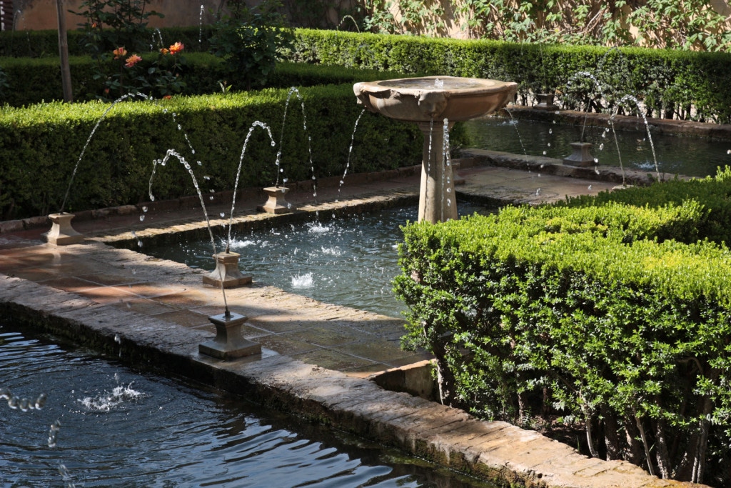 ESPjardinGrenade ESPjardinGrenade
