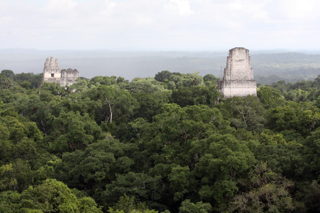 GUAjungleetPyramides GUAjungleetPyramides