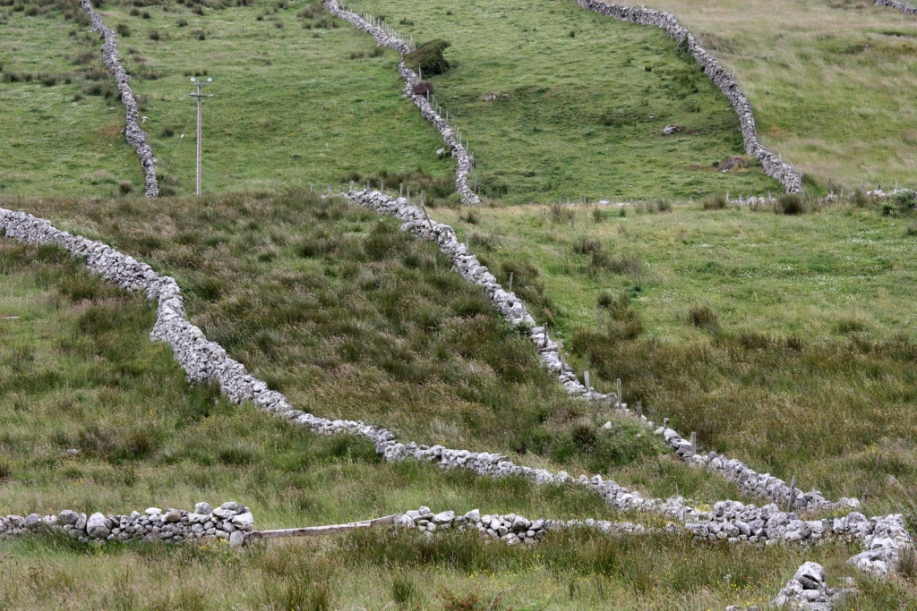 IRLmurs IRLmurs