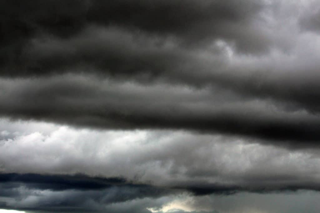 USAorage1 USAorage1