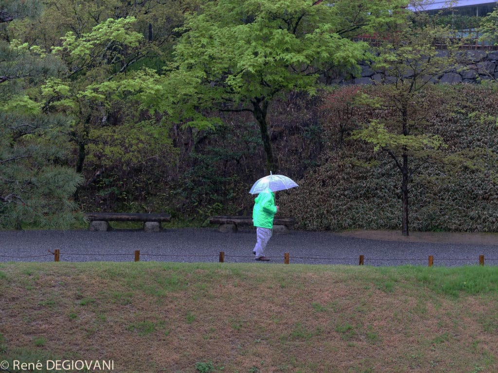 uji uji