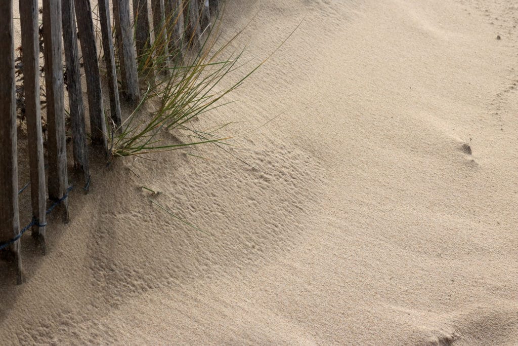 dune dune